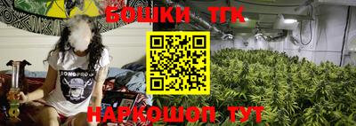 крисы Кимры