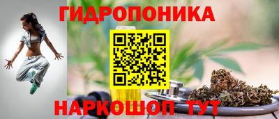 круглые Кингисепп
