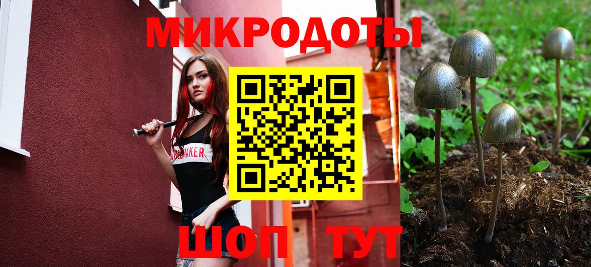Псилоцибиновые грибы Cubensis Корсаков