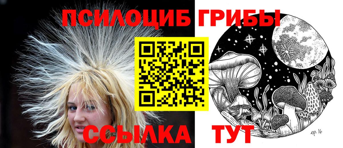Галлюциногенные грибы Psilocybe  Вход с VPN  Корсаков 